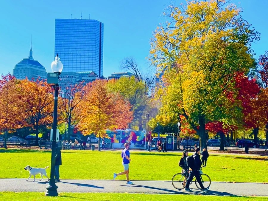 IMG_2529.jpg?type=w966