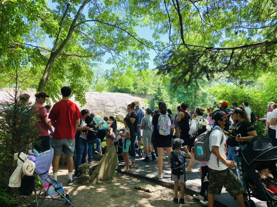 IMG_4242.jpg?type=w966