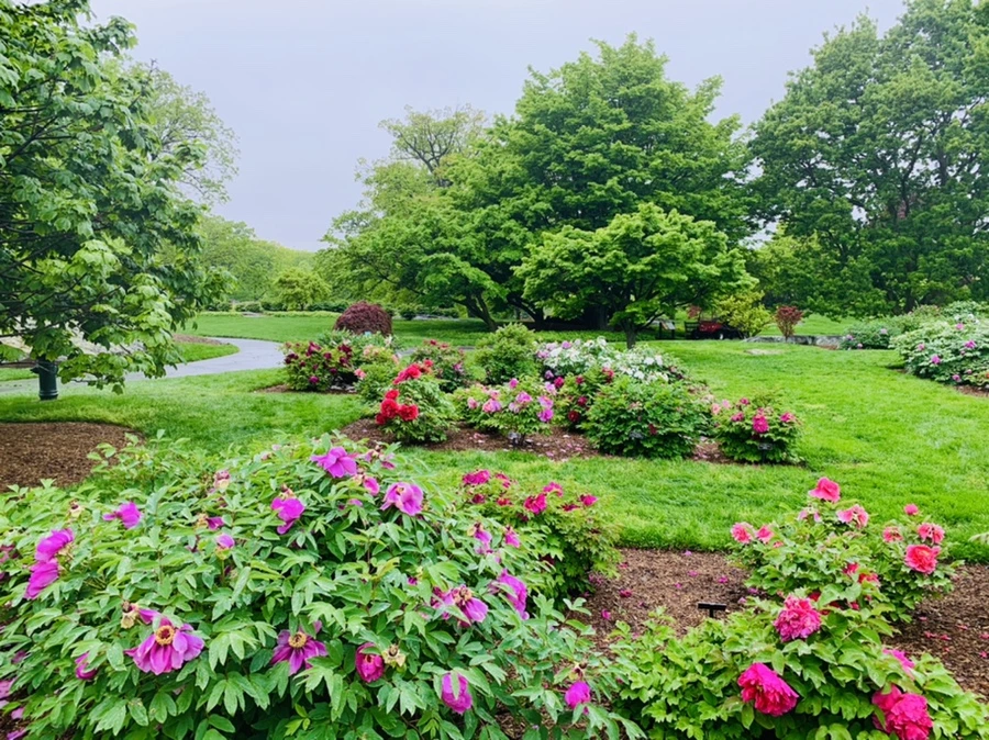 IMG_9989.jpg?type=w966