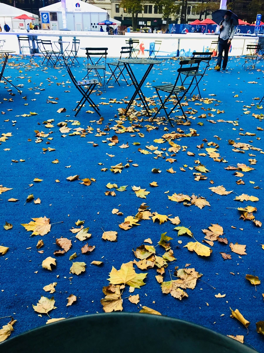 IMG_4437.jpg?type=w966