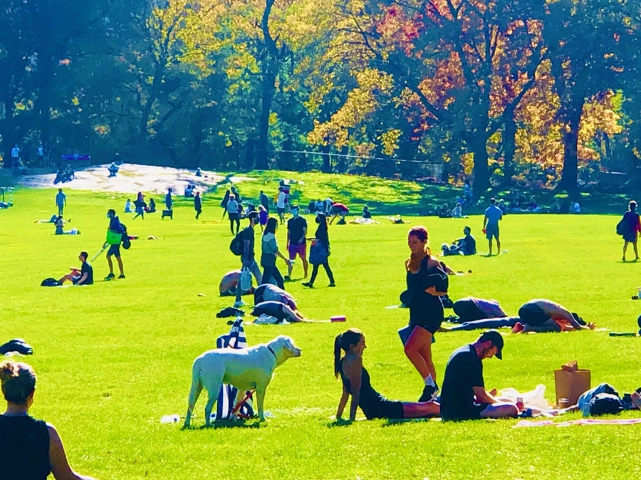 IMG_3834.jpg?type=w966