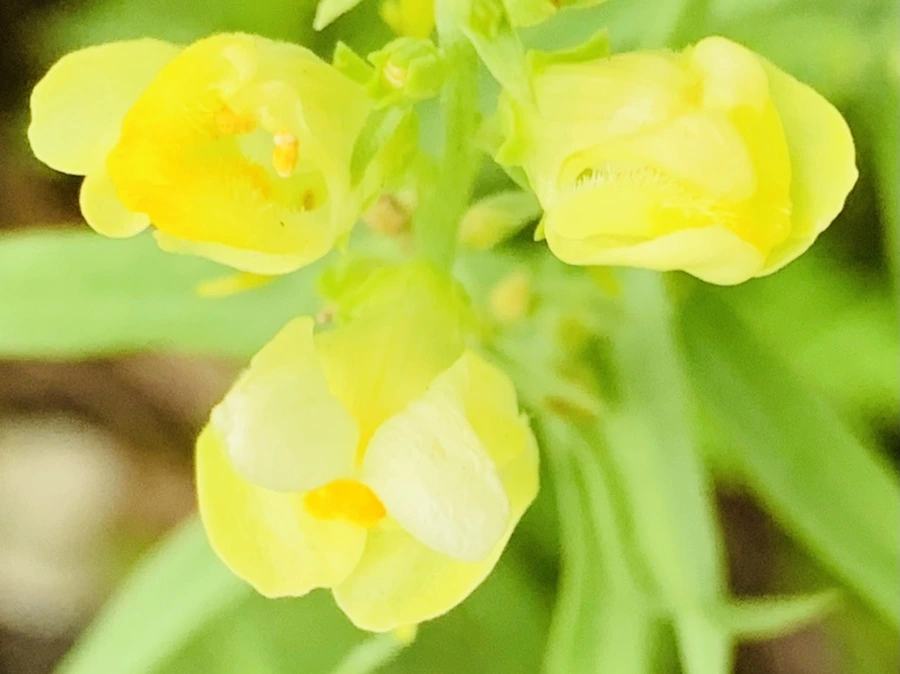 IMG_3769.jpg?type=w966