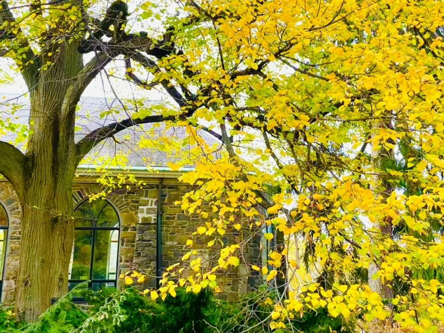 IMG_2364.jpg?type=w966