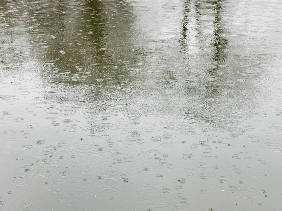 IMG_2116.jpg?type=w966