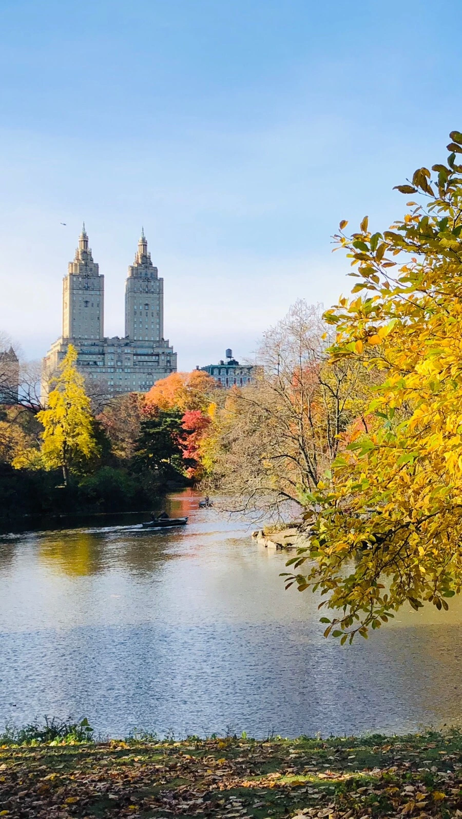 IMG_7522.jpg?type=w966