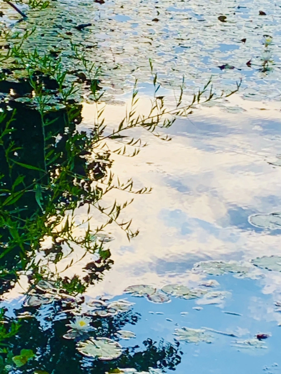 IMG_5844.jpg?type=w966