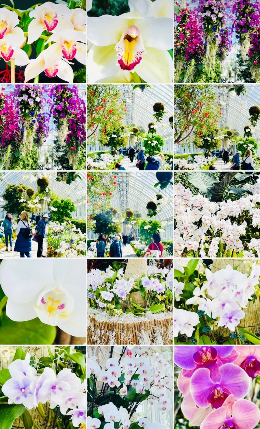 IMG_6750.jpg?type=w966