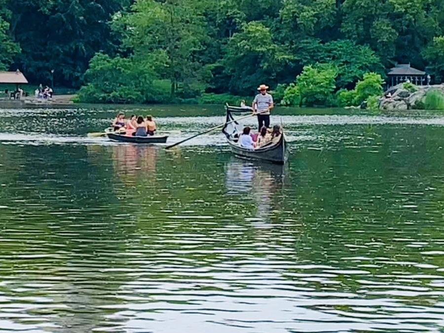 IMG_3396.jpg?type=w966