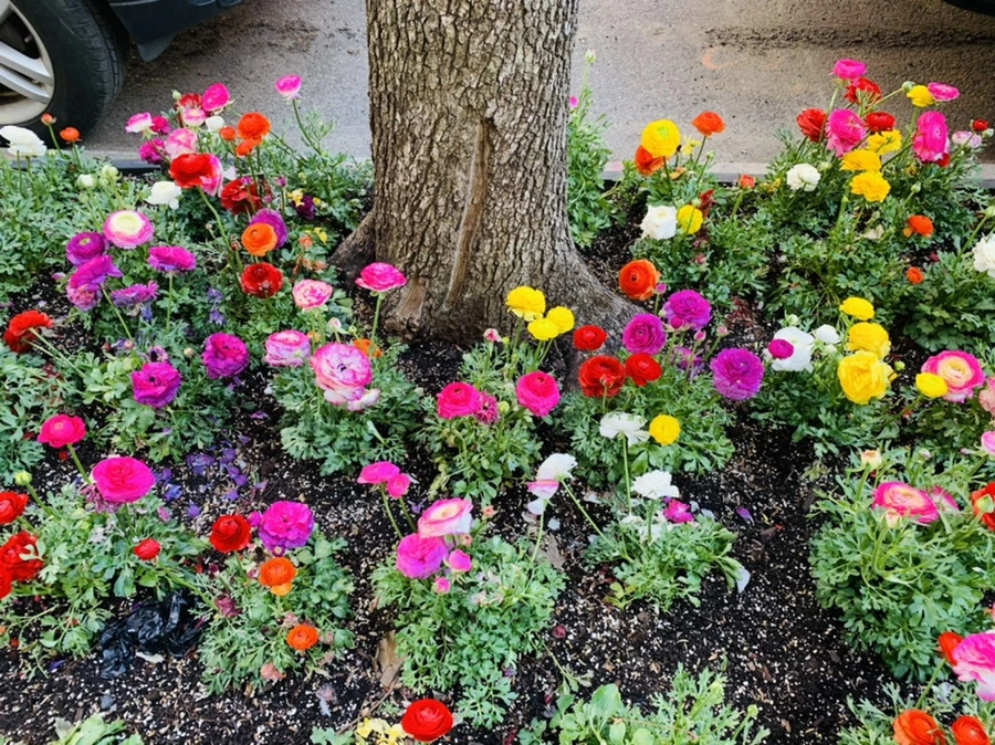 IMG_5403.jpg?type=w966