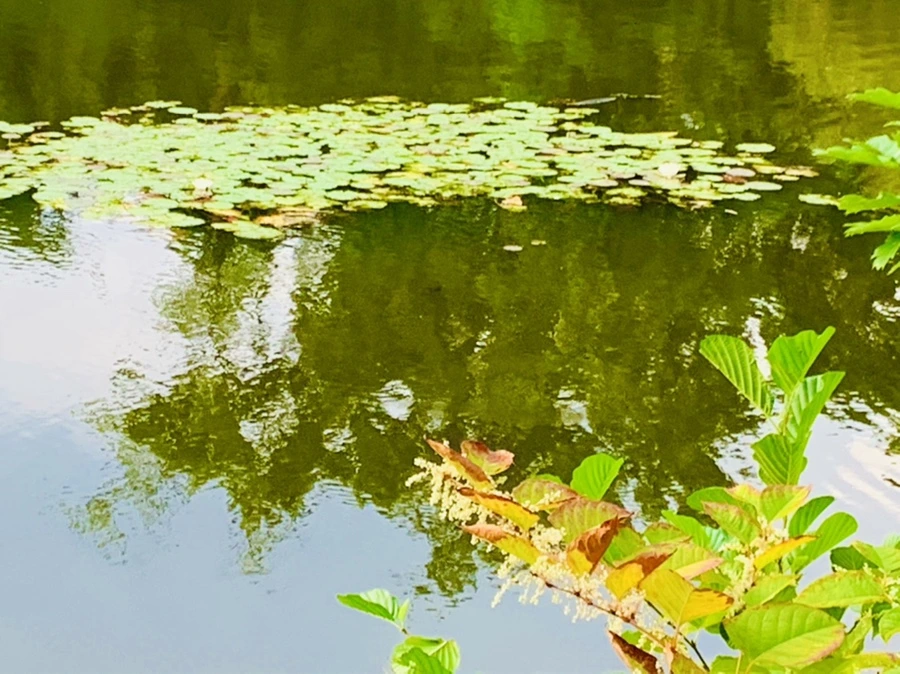 IMG_5823.jpg?type=w966