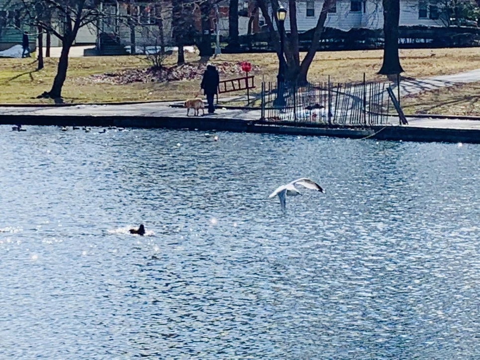 IMG_7235.jpg?type=w966