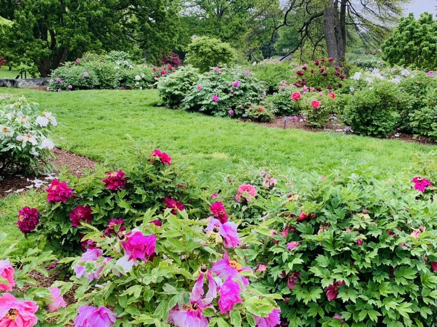 IMG_9977.jpg?type=w966