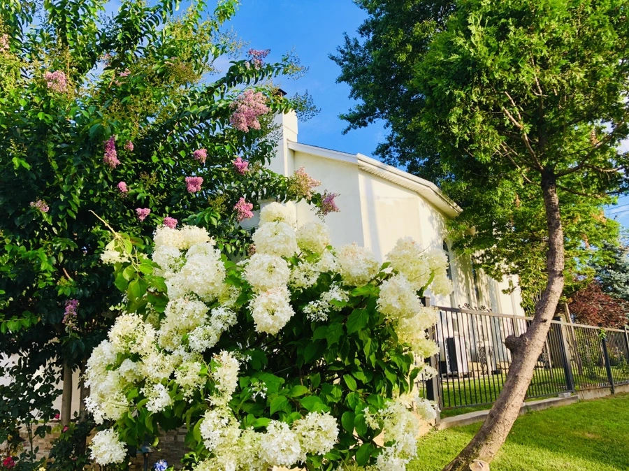 IMG_5674.jpg?type=w966