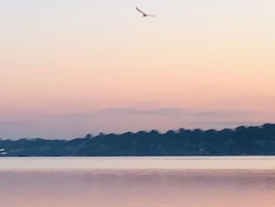 IMG_7046.jpg?type=w966