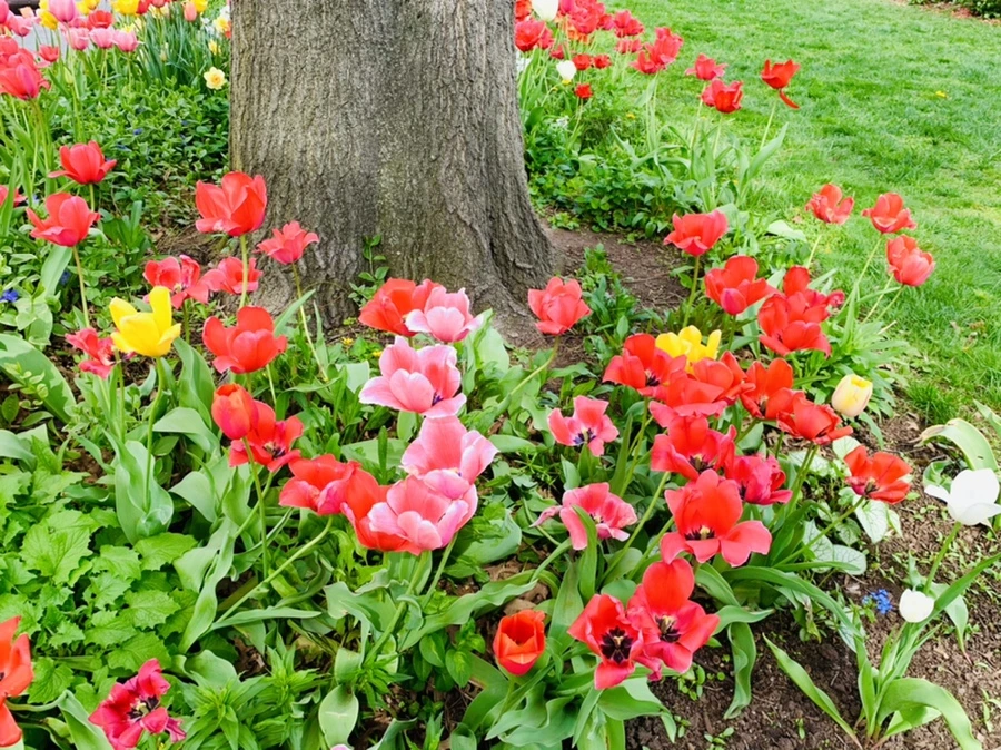 IMG_6978.jpg?type=w966