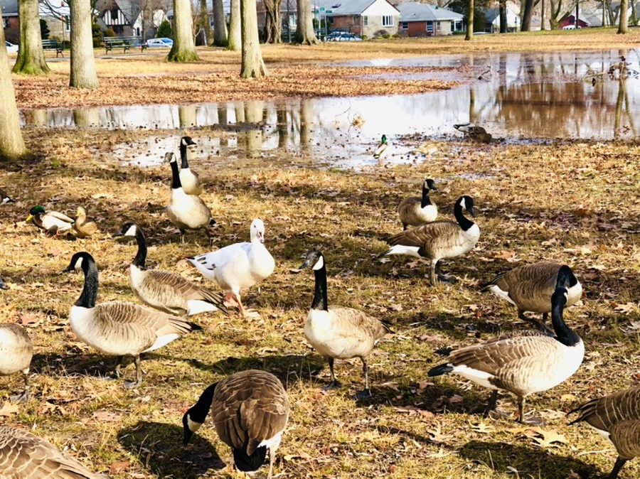 IMG_3561.jpg?type=w966