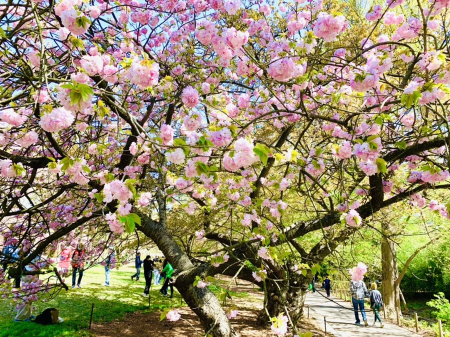 IMG_4674.jpg?type=w966