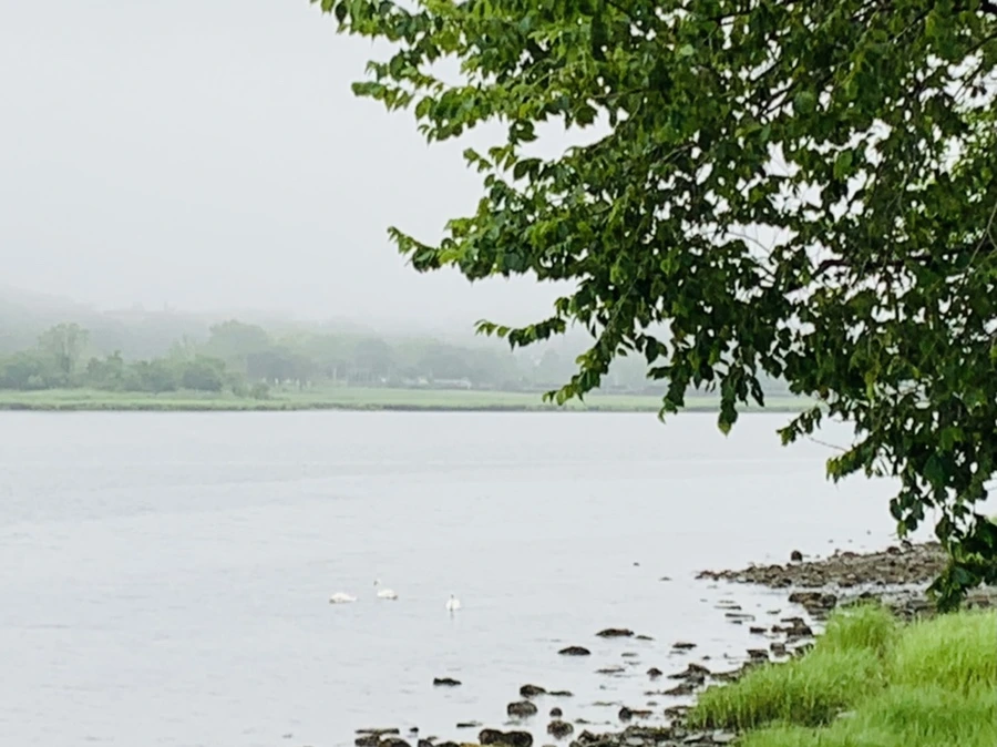 IMG_5088.jpg?type=w966