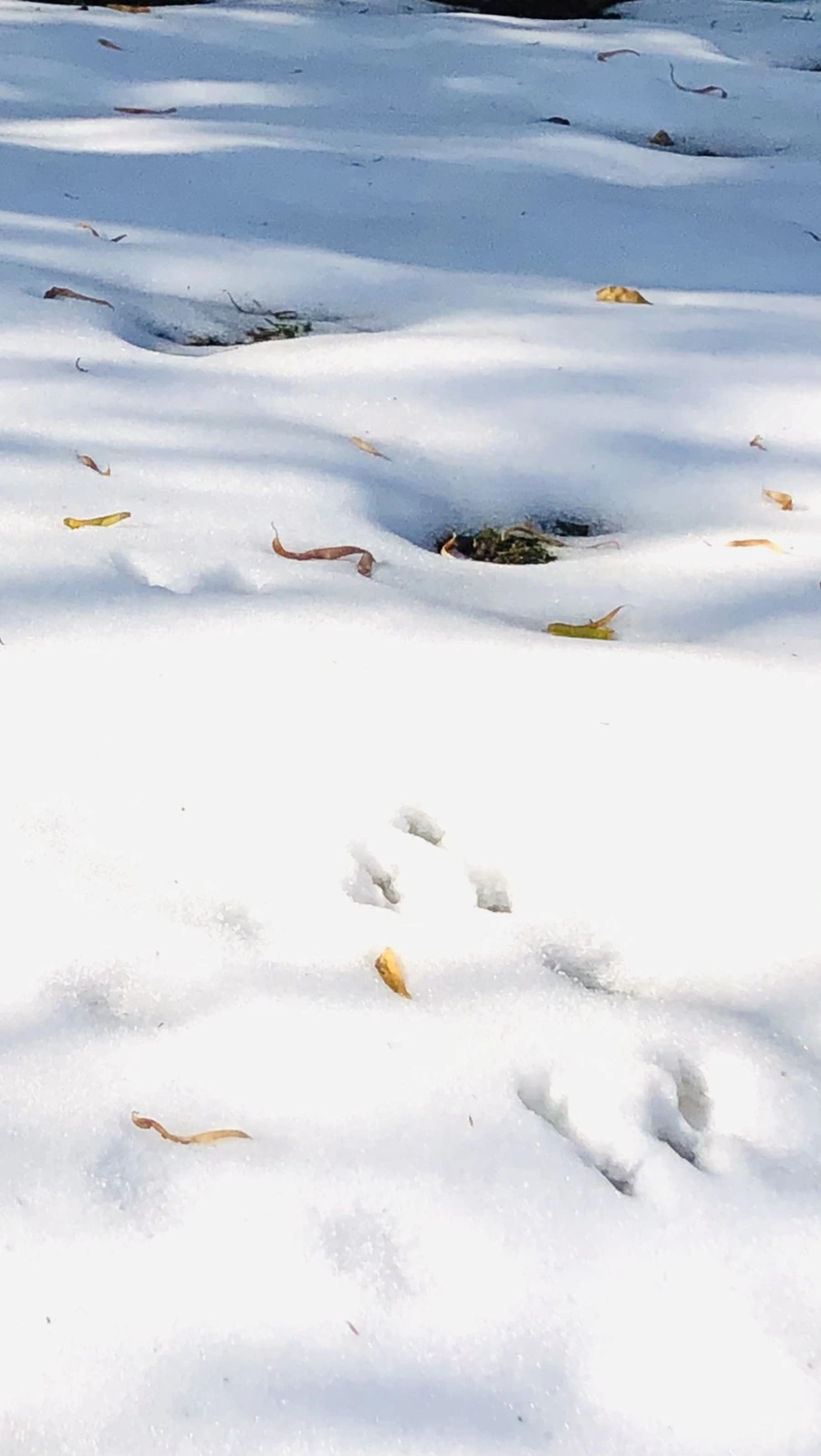 IMG_7760.jpg?type=w966