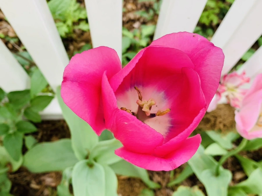 IMG_1309.jpg?type=w966