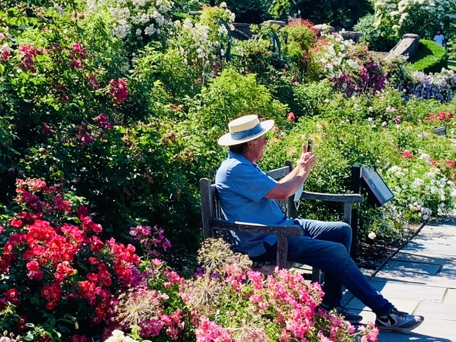 IMG_2163.jpg?type=w966