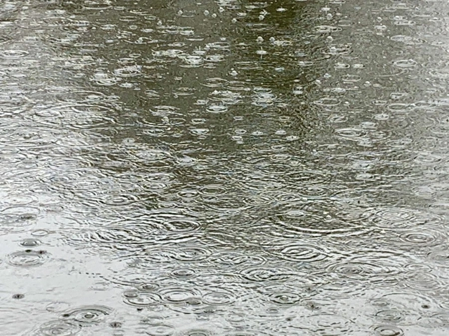 IMG_2102.jpg?type=w966