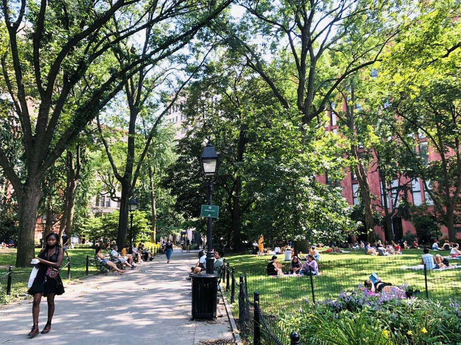 IMG_6363.jpg?type=w966