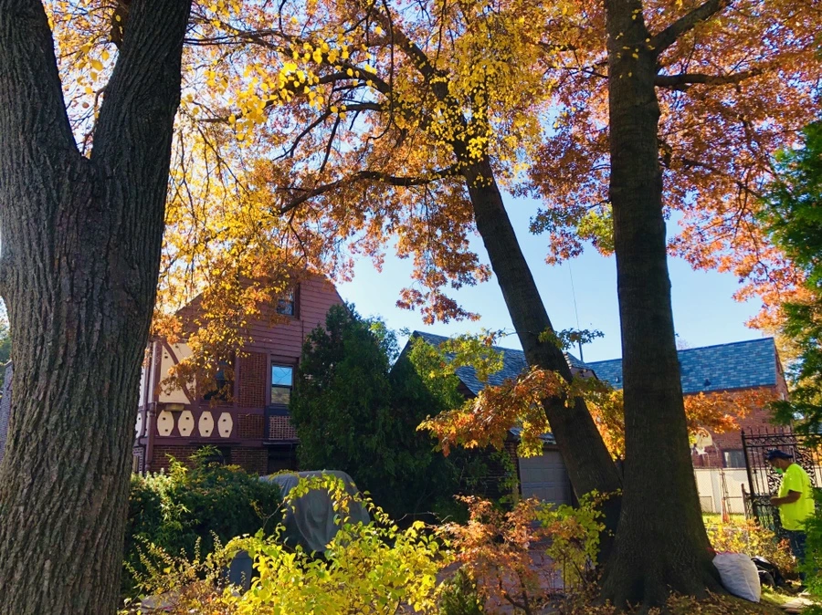 IMG_4155.jpg?type=w966