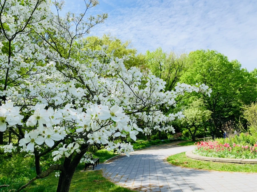 IMG_1146.jpg?type=w966