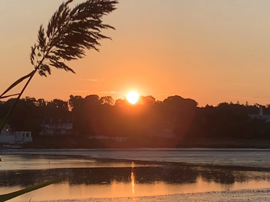 IMG_8882.jpg?type=w966