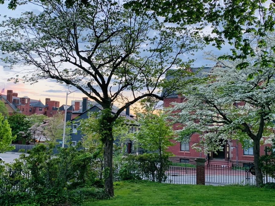 IMG_2577.jpg?type=w966