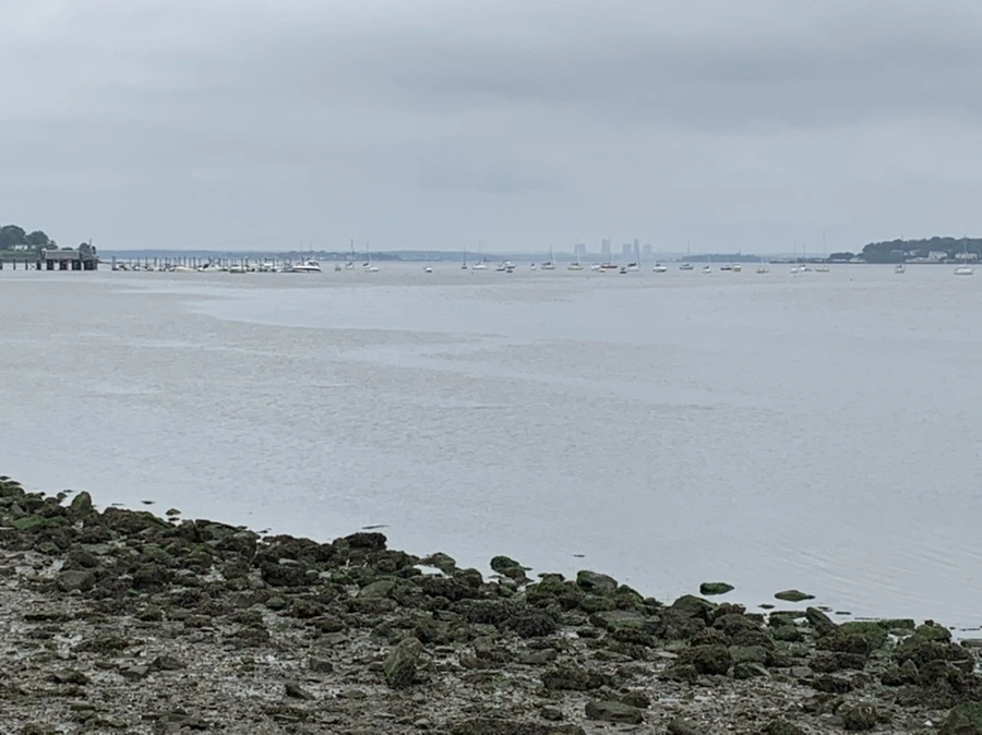 IMG_3682.jpg?type=w966