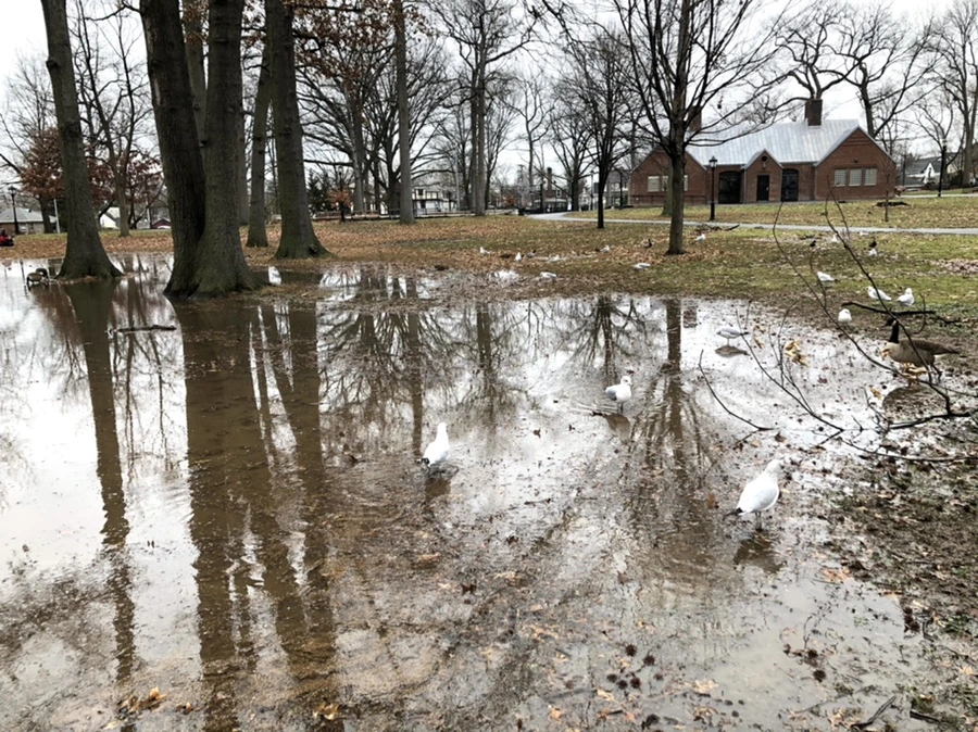 IMG_9476.jpg?type=w966