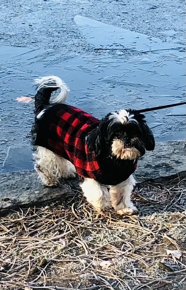 GrTLReDixp0dV296ksXFI3dgoC0