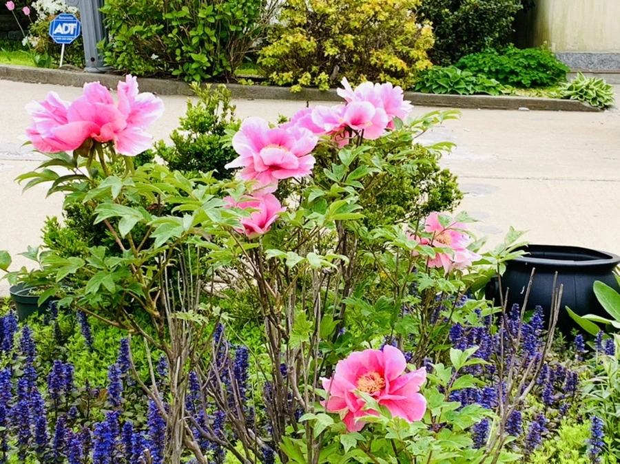 IMG_0679.jpg?type=w966