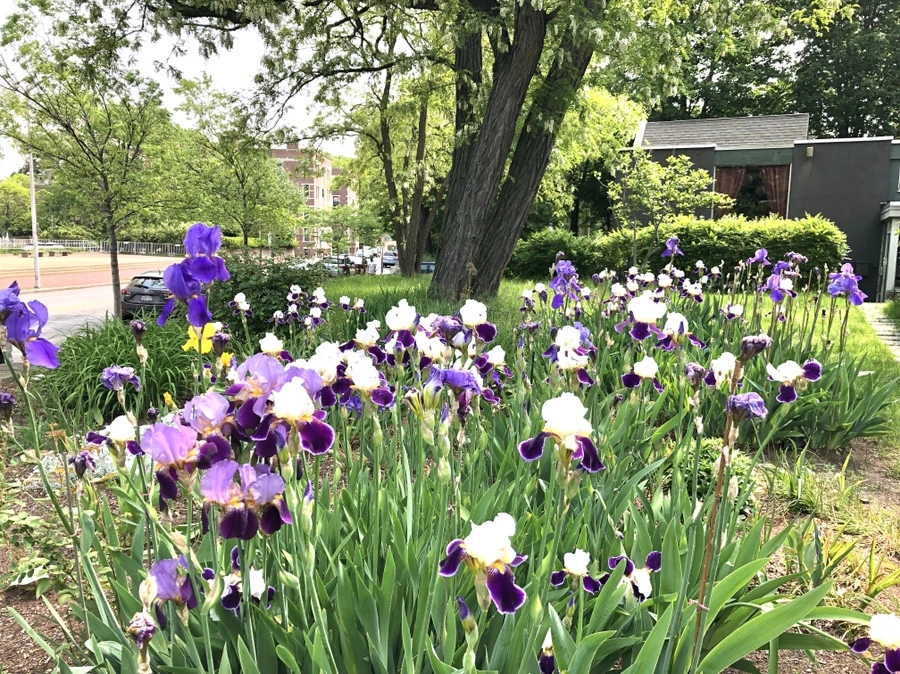 IMG_5452.jpg?type=w966