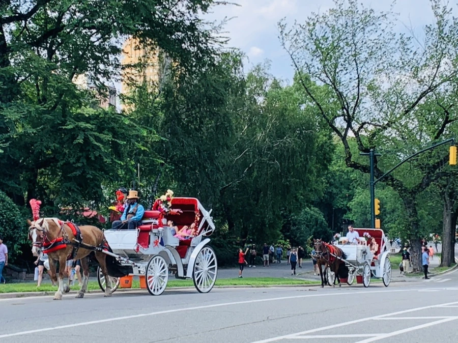 IMG_0572.jpg?type=w966