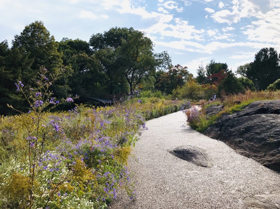 IMG_1586.jpg?type=w966