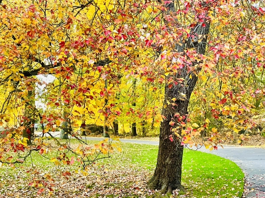 IMG_1898.jpg?type=w966