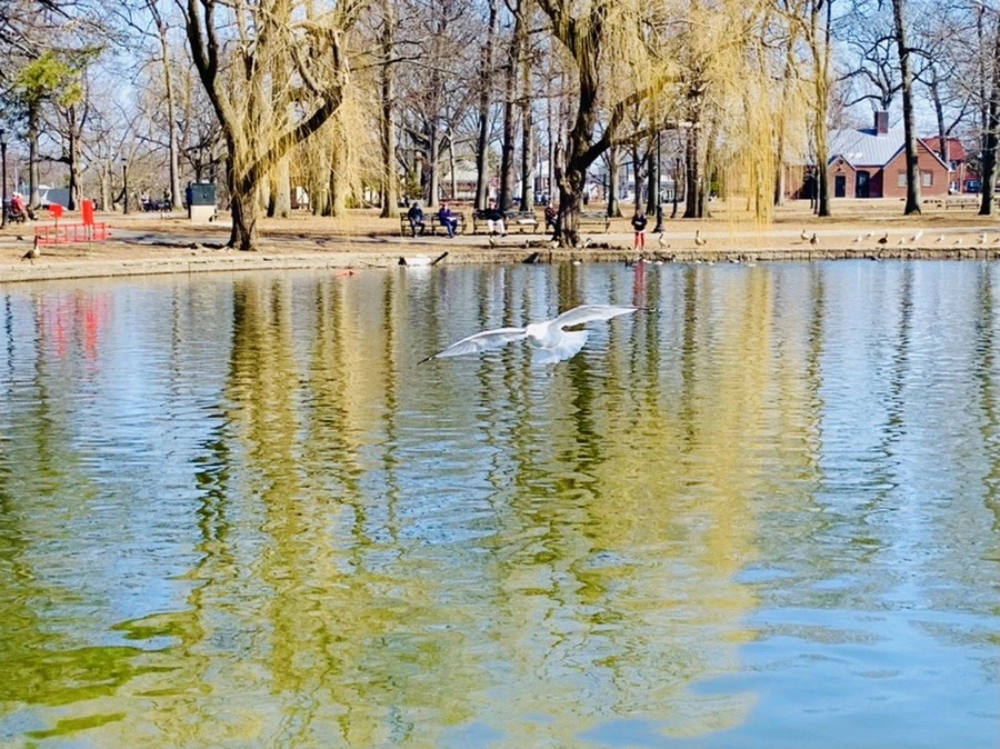 IMG_9471.jpg?type=w966