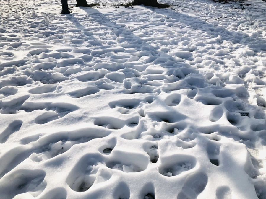 IMG_7747.jpg?type=w966