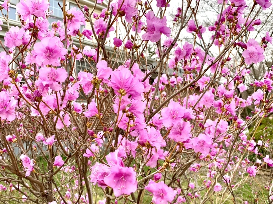 IMG_4680.jpg?type=w966