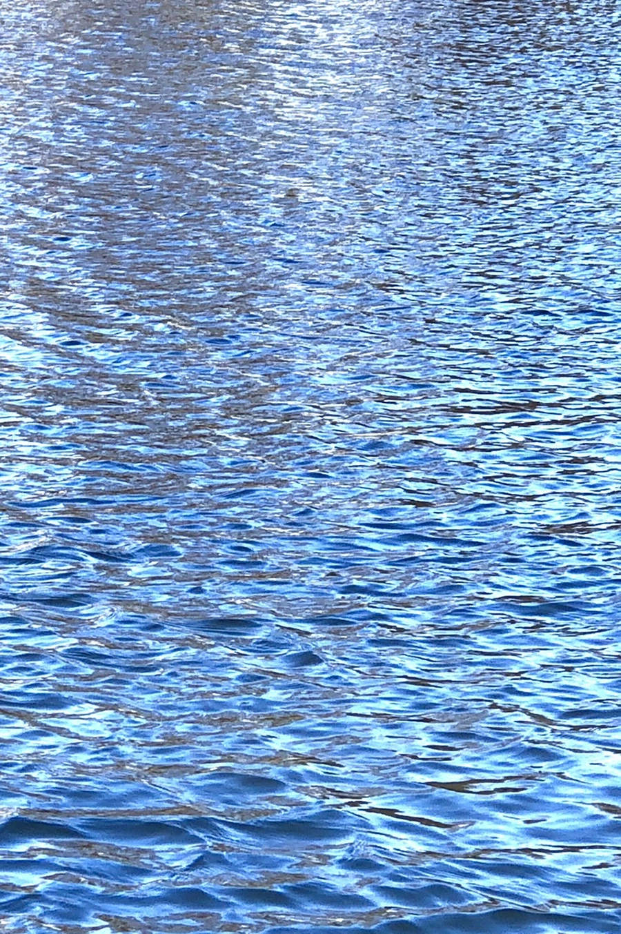 IMG_3804.jpg?type=w966