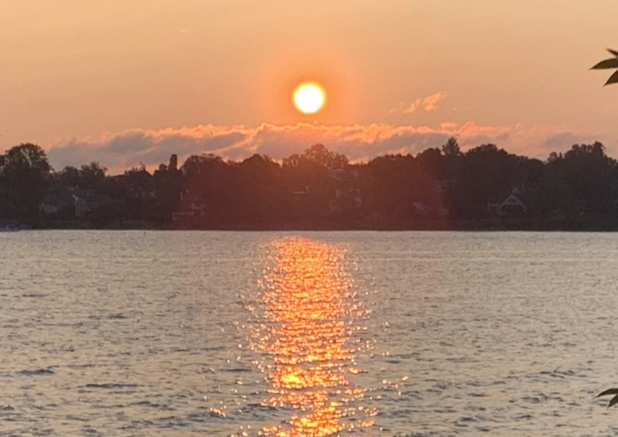 IMG_5499.jpg?type=w966