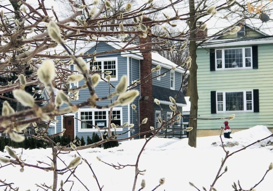 IMG_2770.jpg?type=w966