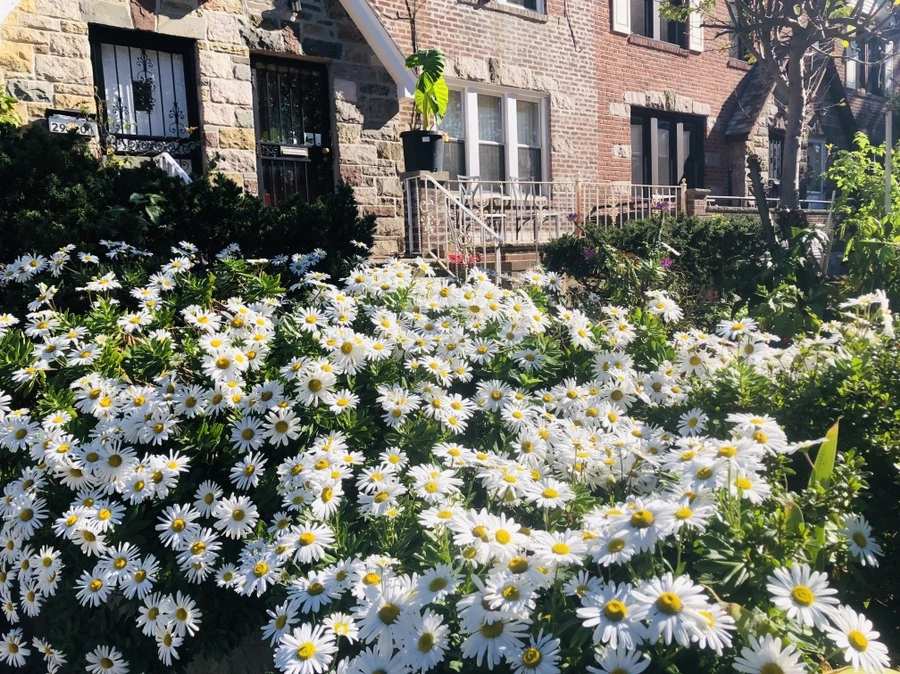 IMG_1894.jpg?type=w966