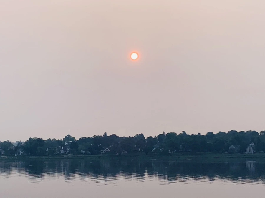 IMG_8347.jpg?type=w966