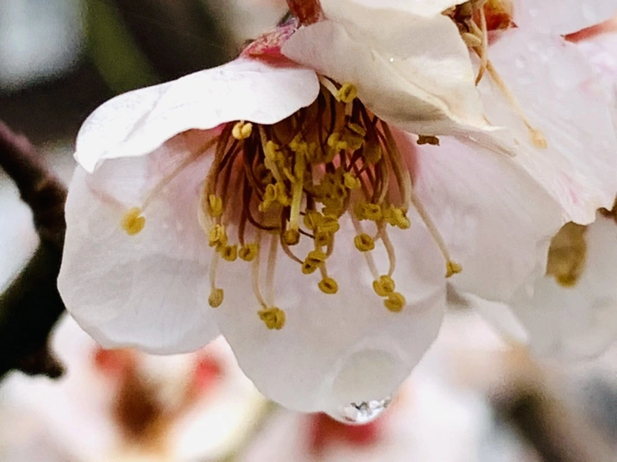 IMG_3956.jpg?type=w966