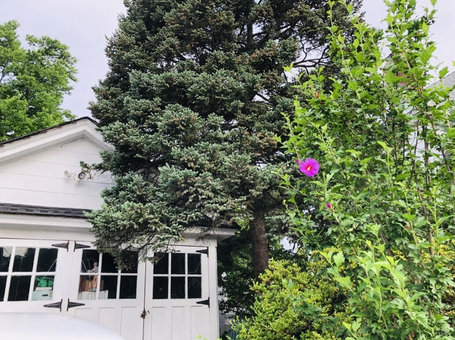 IMG_1395.jpg?type=w966