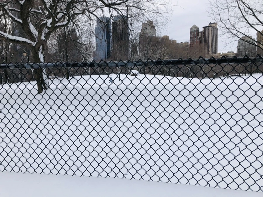 IMG_9236.jpg?type=w966